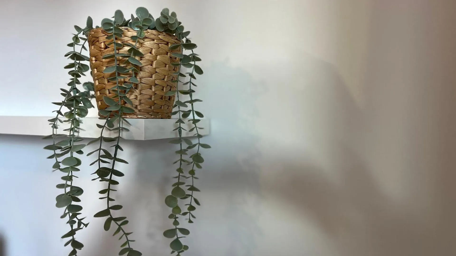 Tropical Chic Apartment Casares