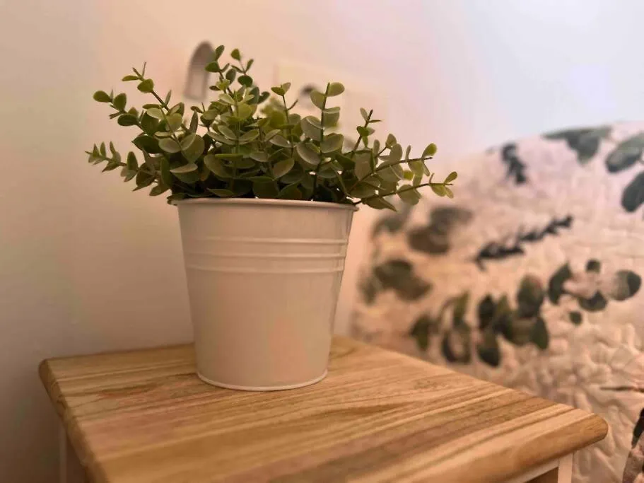 Tropical Chic Apartment Casares